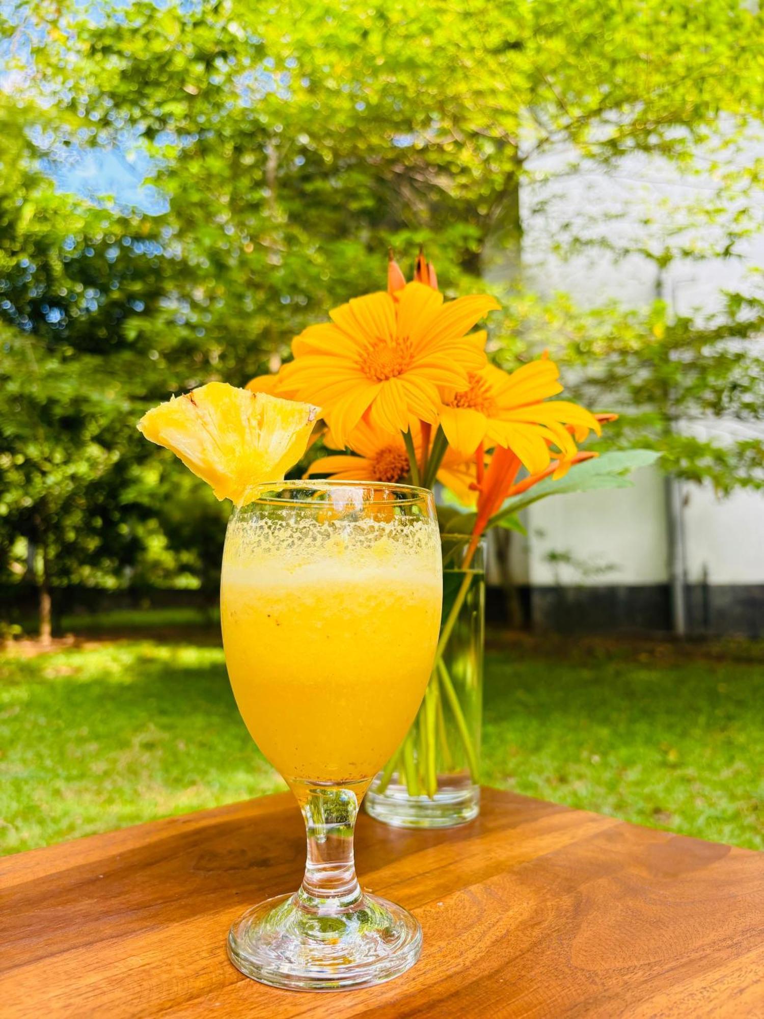 Forest Dew Udawalawa 우다왈라웨 외부 사진